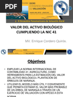 Valor Del Activo Biológico Cumpliendo La Nic 41