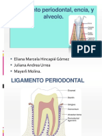 Histologia