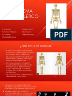 Sistema Esquelético