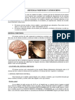 Sistemas Nervioso y Endocrino