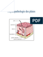 Physiopathologie Des Plaies