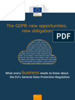 Data Protection Factsheet Sme Obligations - en PDF