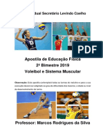 Apostila de Voleibol 2019 PDF