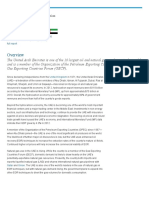 EIA Uae PDF