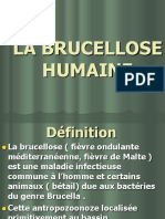 La Brucellose Humaine