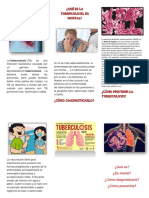 Tuberculosis Pulmonar Triptico