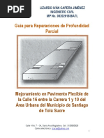 Guia para Reparaciones de Profundidad Parcial Vr02