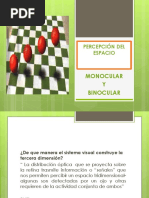 7.percepcion Espac - Vision Monocular