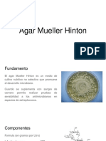 Agar Mueller Hinton