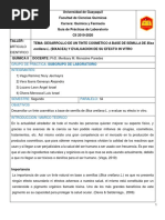 DESARROLLO DE UN TINTE COSMETICO A BASE DE SEMILLA DE Bixa Orellana L. (BIXACEA) Y EVALUACION DE SU EFECTO IN VITRO