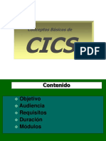 Curso Cics D&S