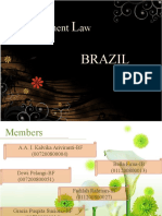 Investment Law of Brazil