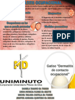 Infografia Dermatitis