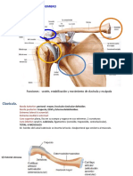 Clase 2 - Hombro 2019
