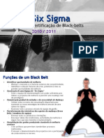 Six Sigma Black Belt