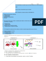 Examen de Biología de Nutricion