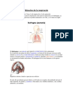 Músculos de La Respiración