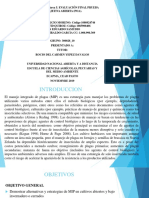 Unidad 1 2 3 Tarea 5 EVALUACIÓN FINAL PRUEBA OBJETIVA ABIERTA (POA) .