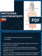 Motilidad Gastrointestinal