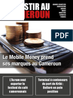 InvestirAuCameroun PDF