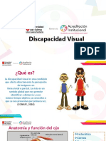 Discapacidad Visual Original