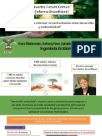 Informe Brundtland