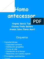 Homo Antecessor