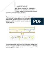 Trabajo Foro Matematico Importante