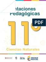 Orientaciones pedagógicas-Ciencias-Naturales-Grado-11 PDF