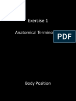 Exercise 1 Anatomical Terminology