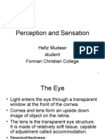 CH # 4 Perception and Sensation