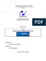 Rapport de Stage ABDELLI