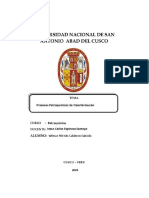 Procesos Petroquímicos de Transformación