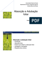 Absorcaofoliarpos