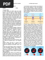 Tipos de Transporte