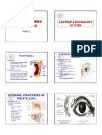 NeuroSensory - Eye Part 2