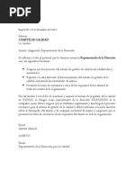 Modelo Carta de Asignación Del Represente de La Dirección