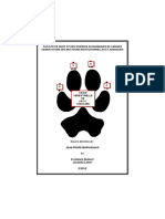 Les Animaux Dangereux Et Le Droit Admini