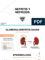 Nefrosis y Nefritis