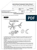 Avaliação 8° Ano Células - Especial