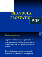 PROSTATA