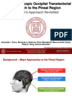 A Fully Endoscopic Occipital Transtentorial Approach To The Pineal Region