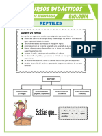 Los Reptiles para Segundo de Secundaria