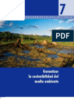 7 - Garantizar La Sostenibilidad Del Medio Ambiente