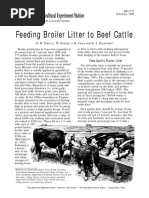 03j Texas A&M Feeding Broiler Litter To Beef Cattle