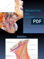 Triangulos Del Cuello