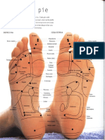 Guia Digitopuntura y Reflexologia Podal PDF