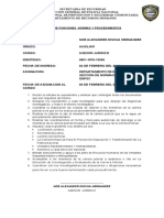 Funciones Que Desempeño en La Sección de Normas y Procedimientos de La de La Direccion Nacional de Prevencion y Seguridad Comunitaria