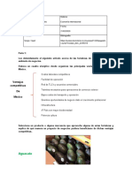 Ejercicio 2 Economia Internacional