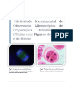 Actividade Experimental de Observação Microscópica de Preparações Definitivas de Células Com Figuras de Meiose e de Mitose